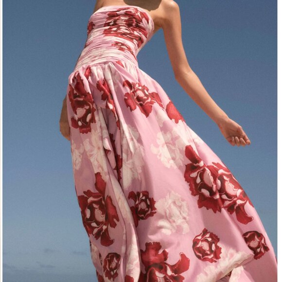 AJE Behold Maxi Dress NWT - Picture 3 of 7